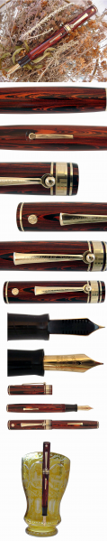 EVERSHARP OVERSIZE ROSEWOOD X.jpg