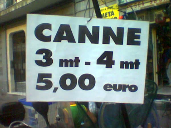 Canne.jpg