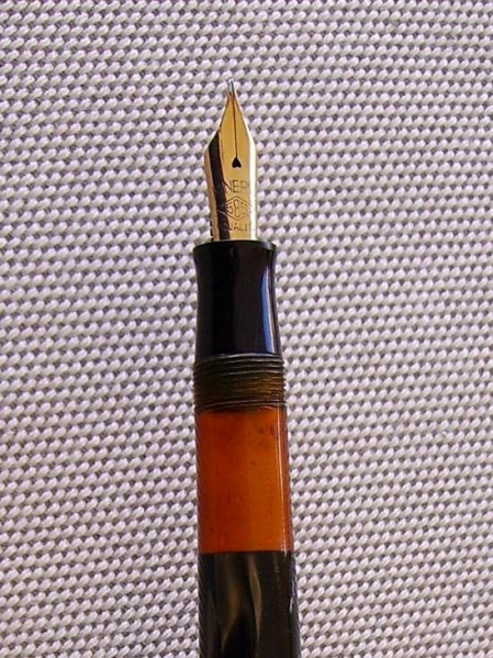 Minerva trasparente nib.JPG