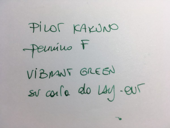 30 Pilot su layout.JPG